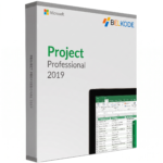 Microsoft Project Professional 2019